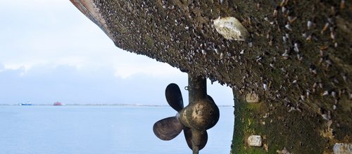 A ship's hull and propeller covered in heavy biofouling, removable with Laserline diode lasers