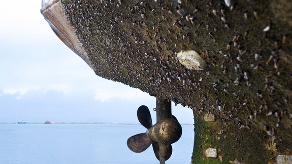 A ship's hull and propeller covered in heavy biofouling, removable with Laserline diode lasers