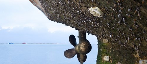 A ship's hull and propeller covered in heavy biofouling, removable with Laserline diode lasers