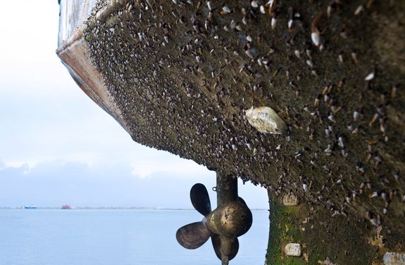 A ship's hull and propeller covered in heavy biofouling, removable with Laserline diode lasers